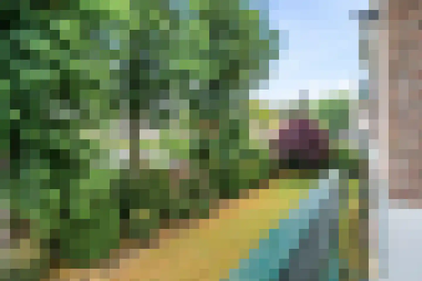 Marialaan 25 A Breda thumbnail 12