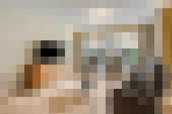 Marialaan 256 Nijmegen thumbnail 14