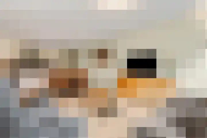 Marialaan 256 Nijmegen thumbnail 19
