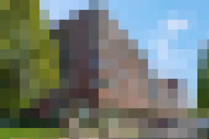 Marialaan 256 Nijmegen thumbnail 40