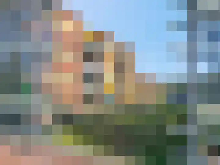 Marialaan 256 Nijmegen thumbnail 42