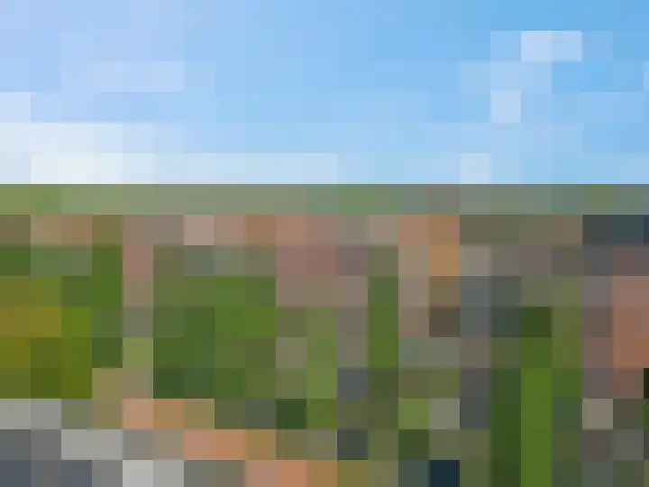 Marialaan 256 Nijmegen thumbnail 43