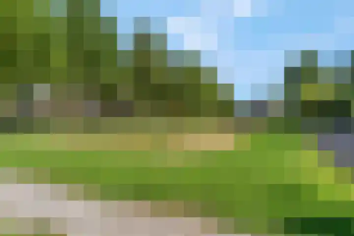 Marialaan 256 Nijmegen thumbnail 46