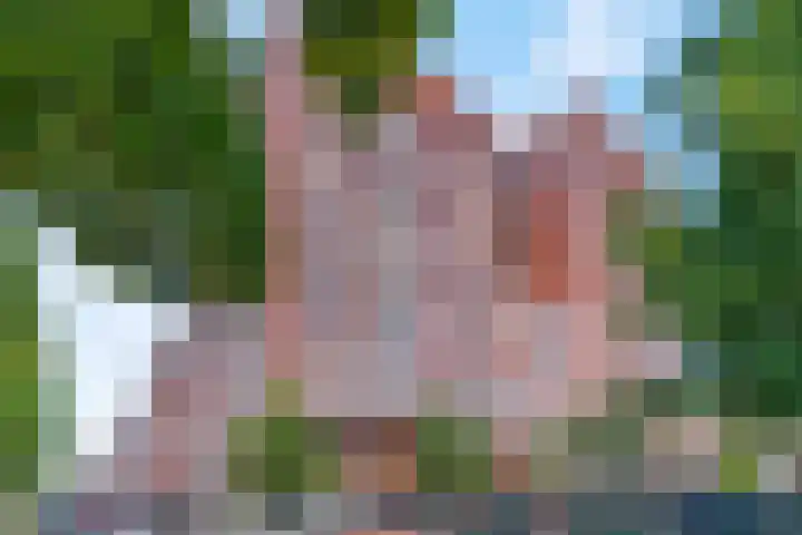 Marialaan 256 Nijmegen thumbnail 5