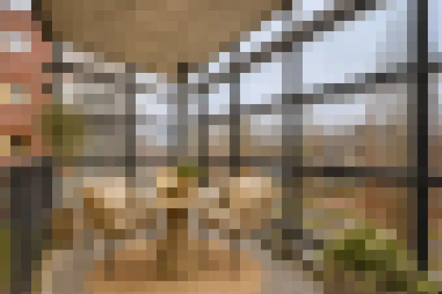 Marialaan 294 Nijmegen thumbnail 27