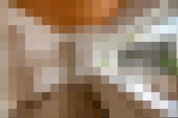 Marialaan 3 Susteren thumbnail 16