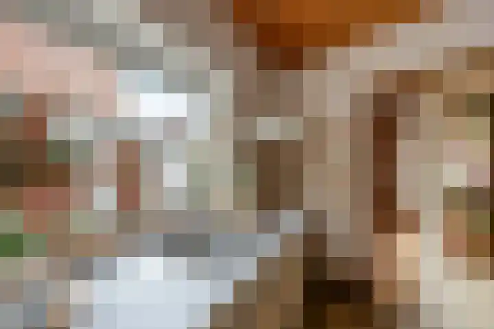 Marialaan 3 Susteren thumbnail 18