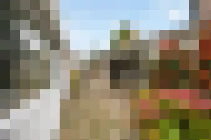 Marialaan 3 Susteren thumbnail 34