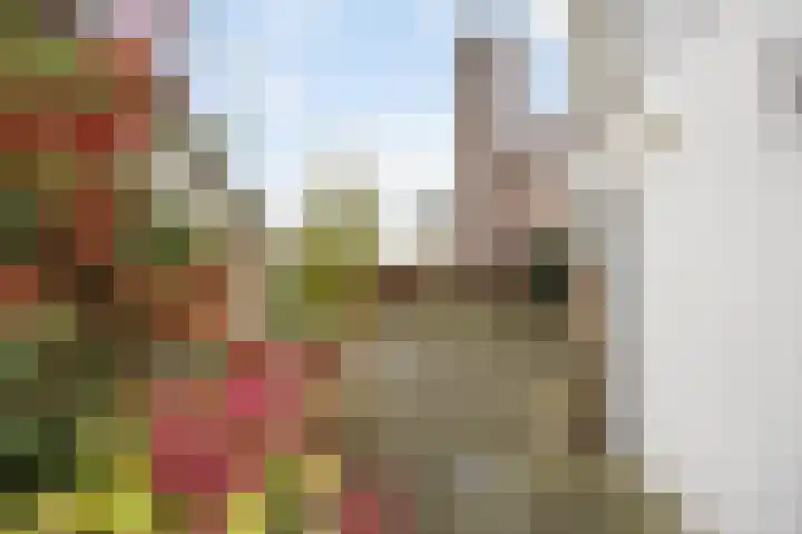Marialaan 3 Susteren thumbnail 4
