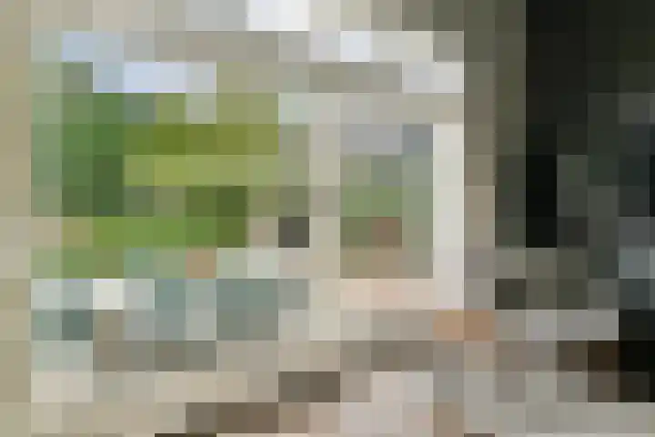 Marialaan 30 Zwanenburg thumbnail 10