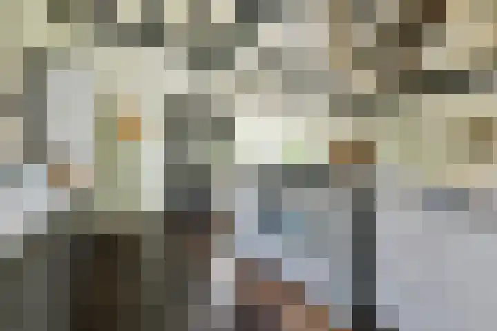 Marialaan 30 Zwanenburg thumbnail 12