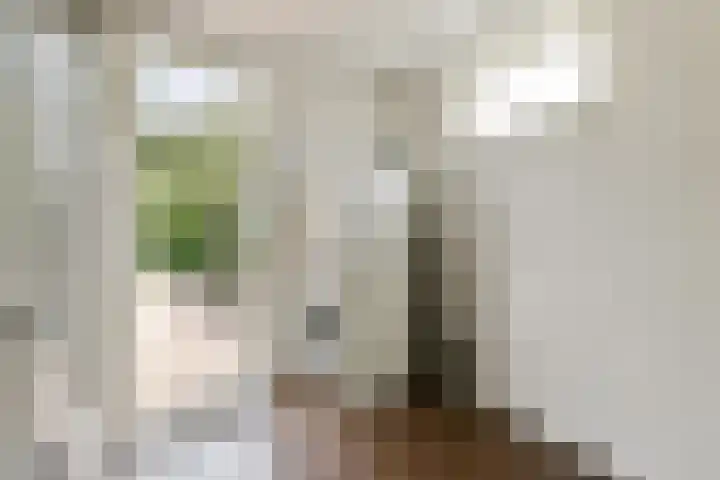 Marialaan 30 Zwanenburg thumbnail 21