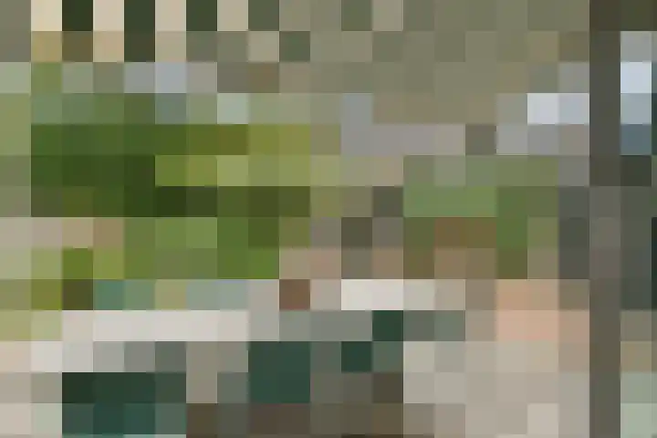 Marialaan 30 Zwanenburg thumbnail 24