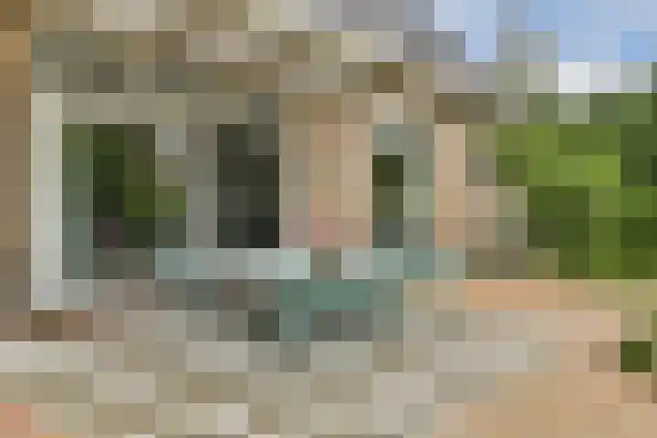 Marialaan 30 Zwanenburg thumbnail 25