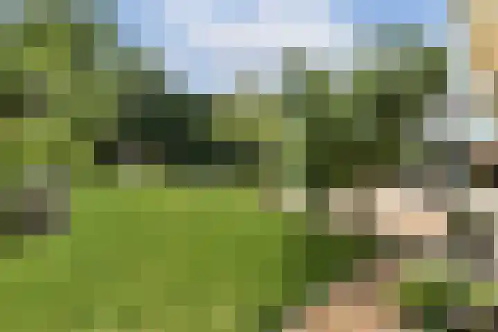 Marialaan 30 Zwanenburg thumbnail 26