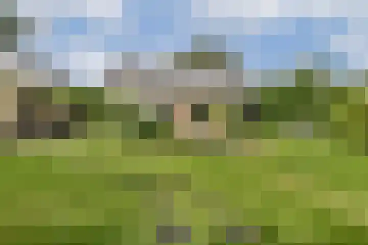 Marialaan 30 Zwanenburg thumbnail 28