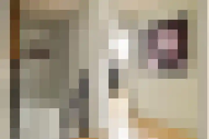 Marialaan 30 Zwanenburg thumbnail 31