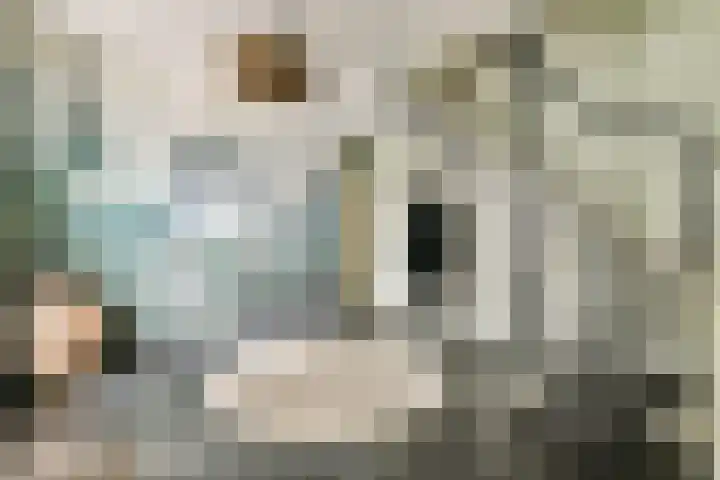 Marialaan 30 Zwanenburg thumbnail 4