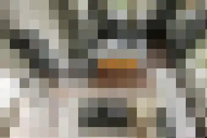 Marialaan 30 Zwanenburg thumbnail 42
