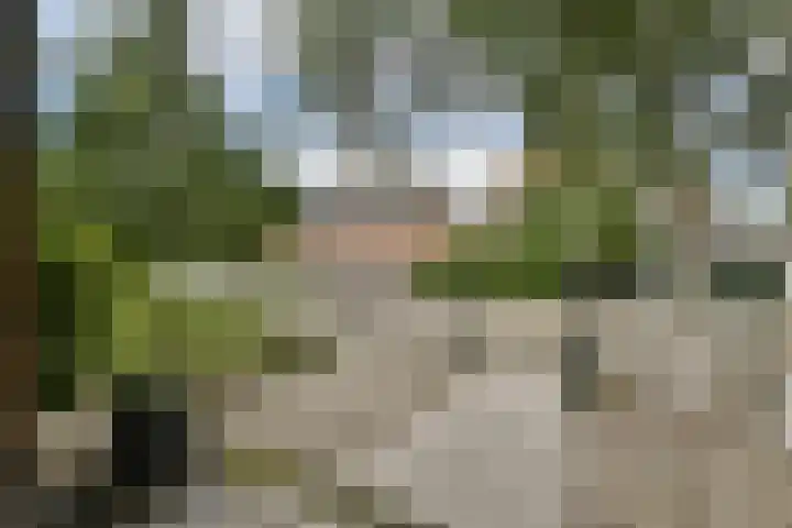 Marialaan 30 Zwanenburg thumbnail 44