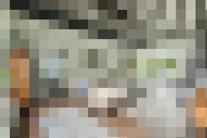Marialaan 30 Zwanenburg thumbnail 6