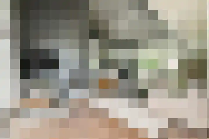Marialaan 30 Zwanenburg thumbnail 7