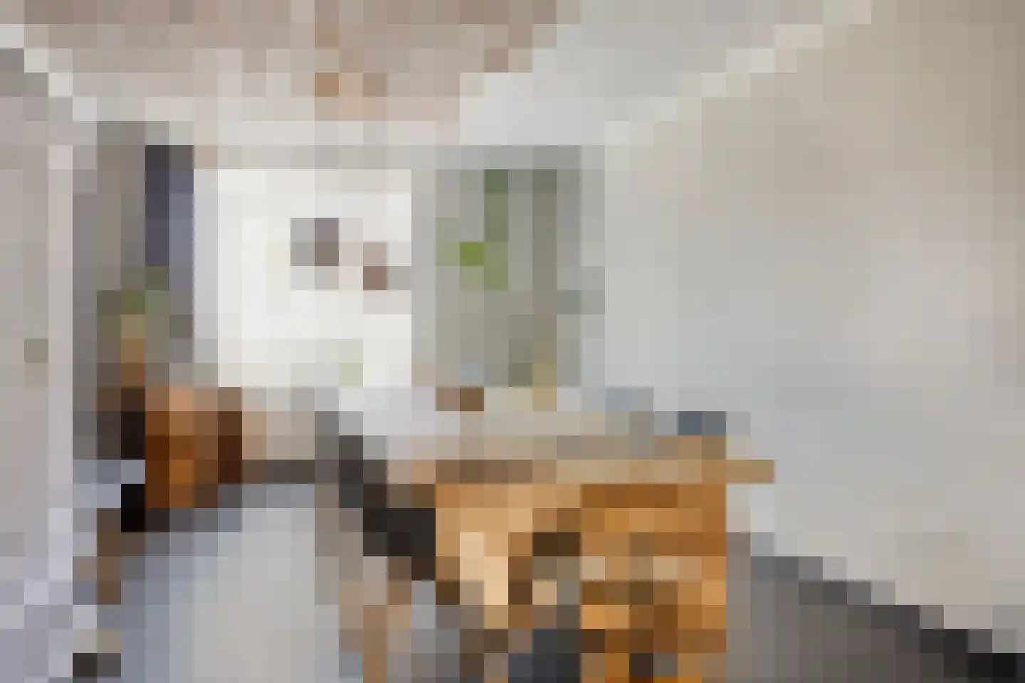 Marialaan 31 Reusel thumbnail 12