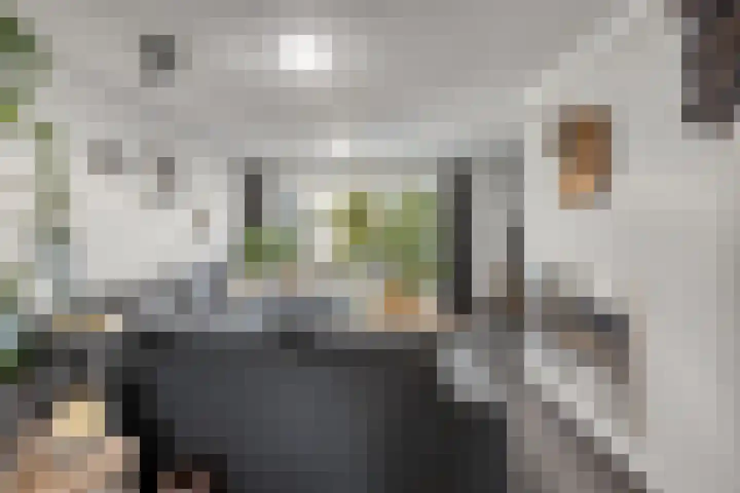 Marialaan 31 Reusel thumbnail 16