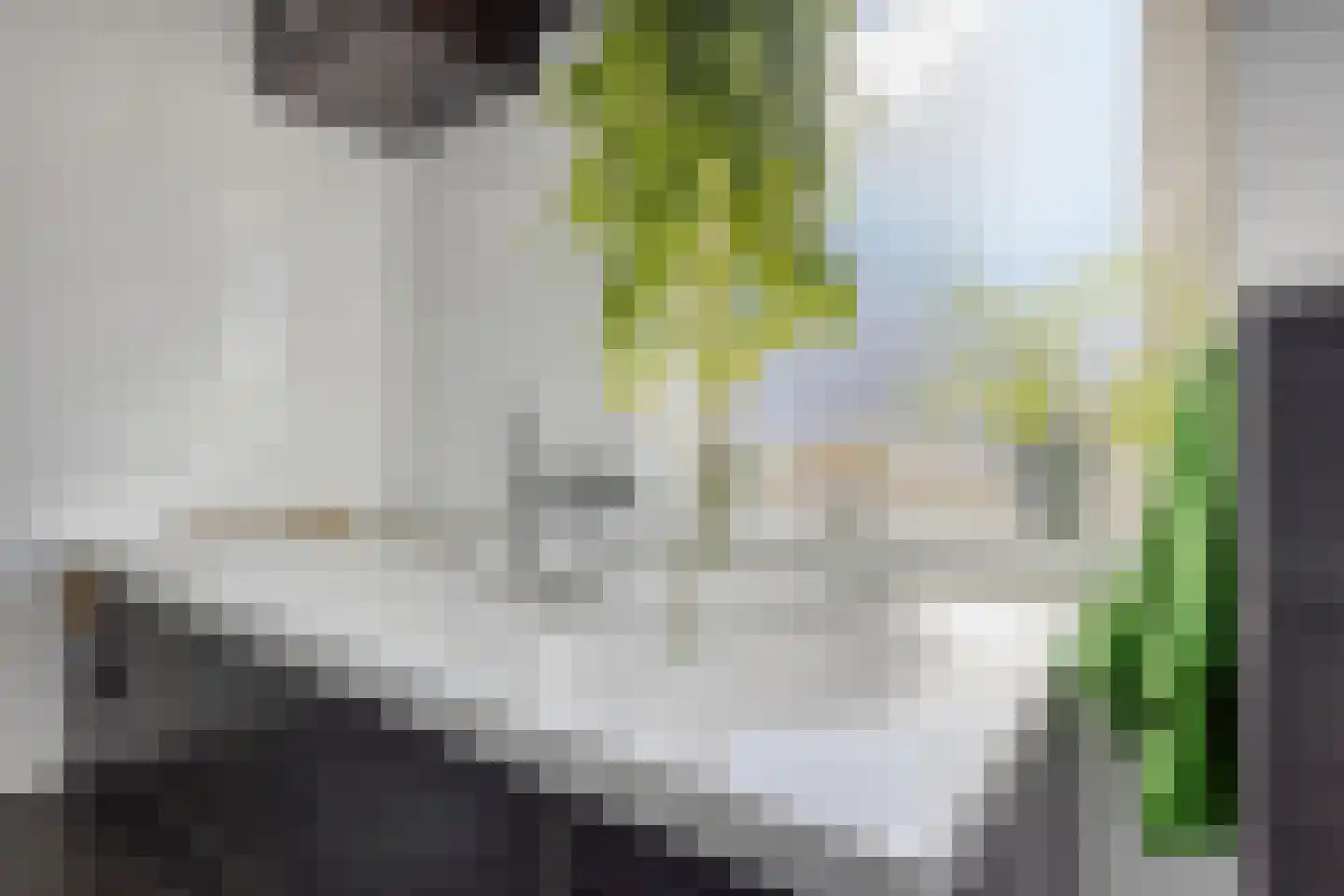Marialaan 31 Reusel thumbnail 33