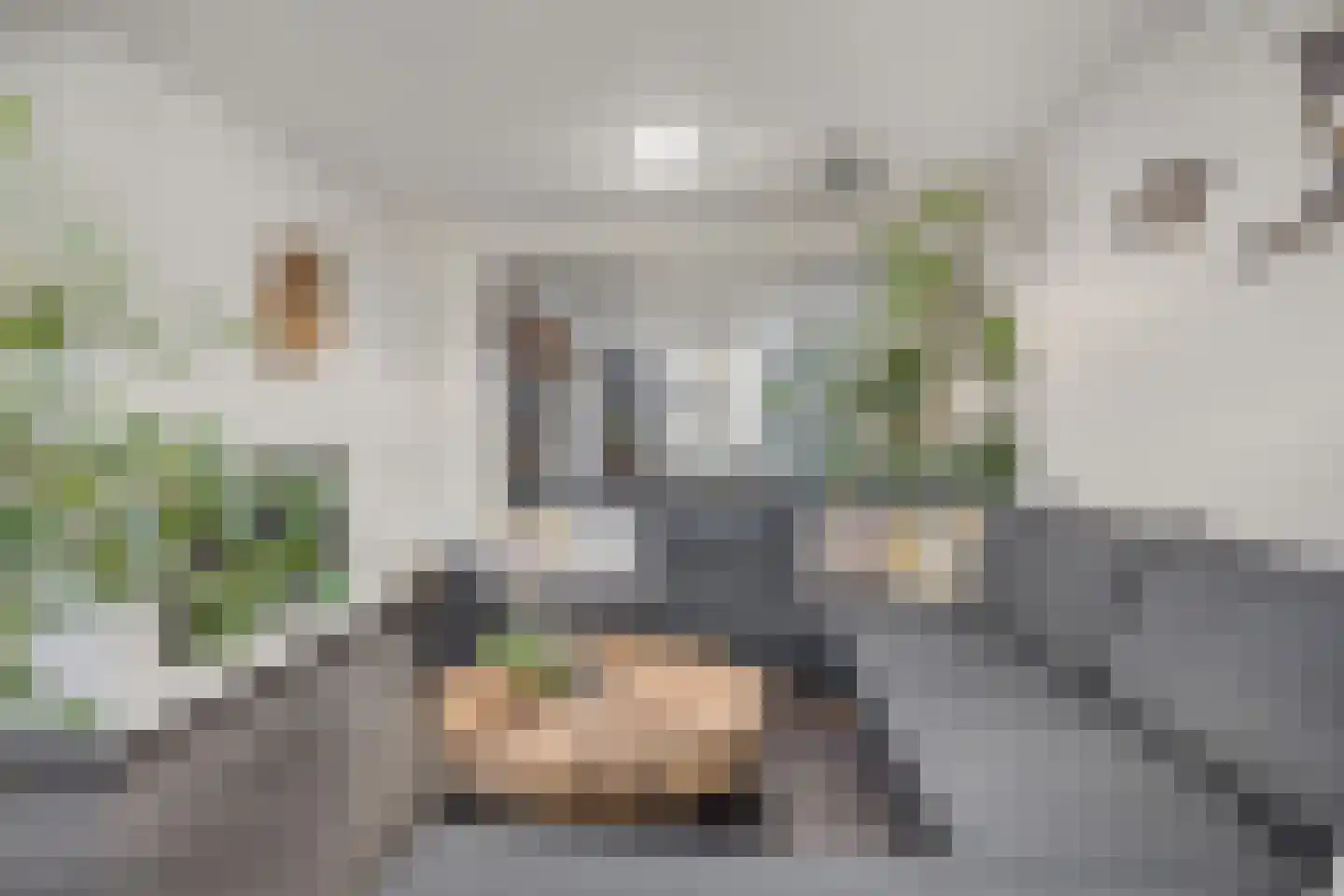 Marialaan 31 Reusel thumbnail 4