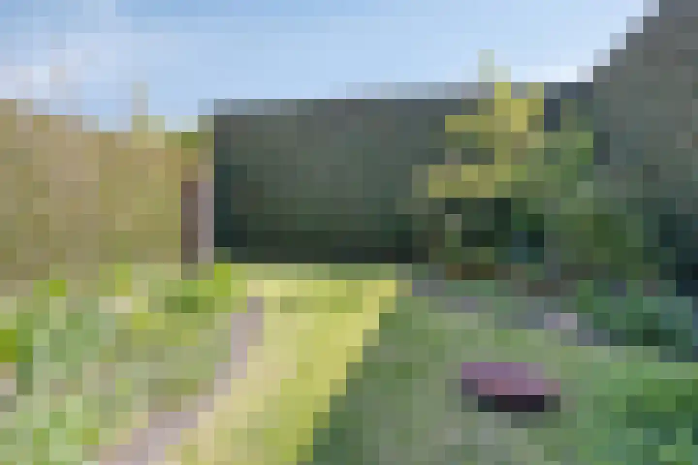 Marialaan 31 Reusel thumbnail 48