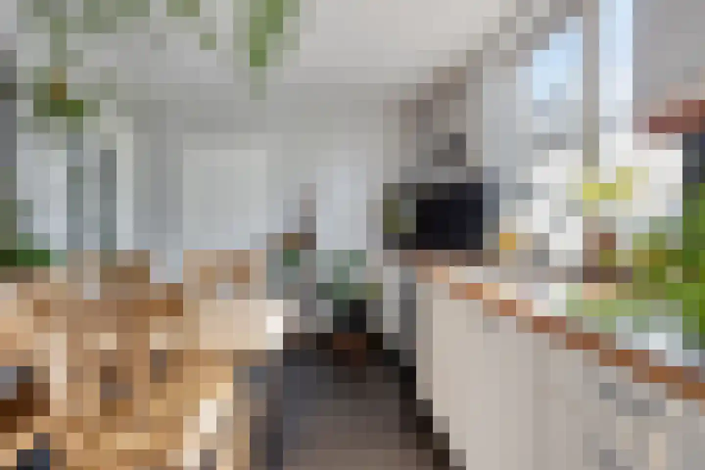 Marialaan 31 Reusel thumbnail 8