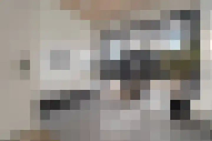 Marialaan 310 Nijmegen thumbnail 25