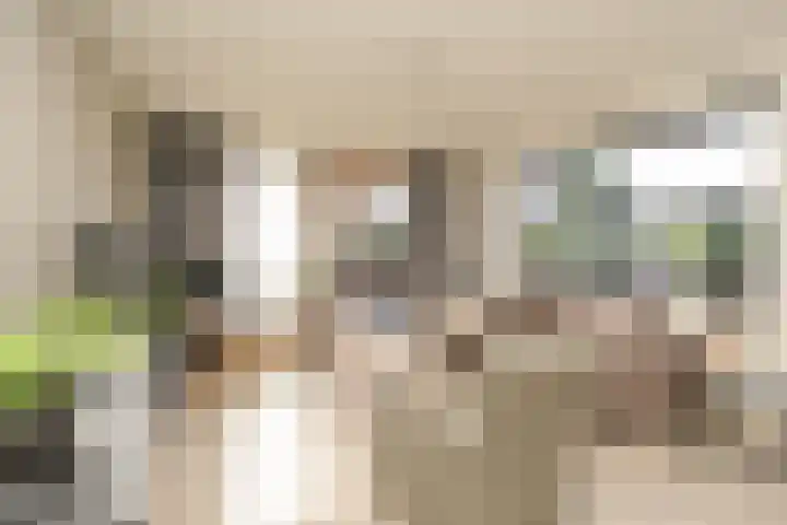 Marialaan 318 Nijmegen thumbnail 20