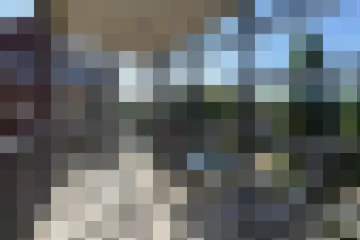 Marialaan 318 Nijmegen thumbnail 38