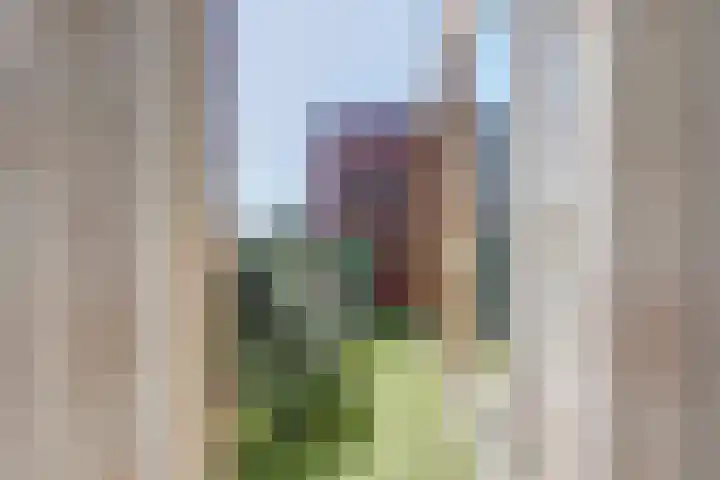 Marialaan 338 Nijmegen thumbnail 21