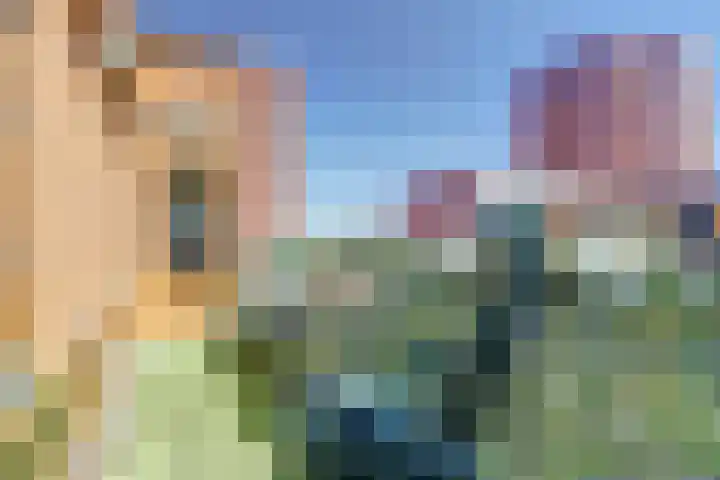 Marialaan 338 Nijmegen thumbnail 23