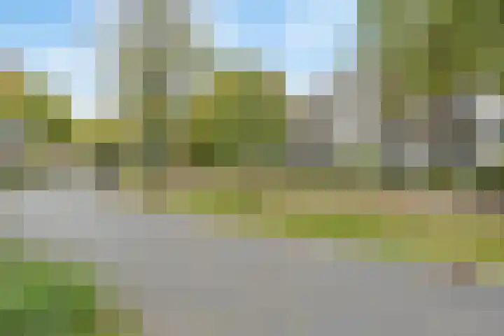 Marialaan 35 C Breda thumbnail 33