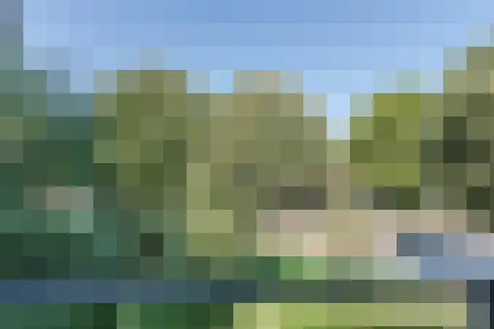 Marialaan 368 Nijmegen thumbnail 29