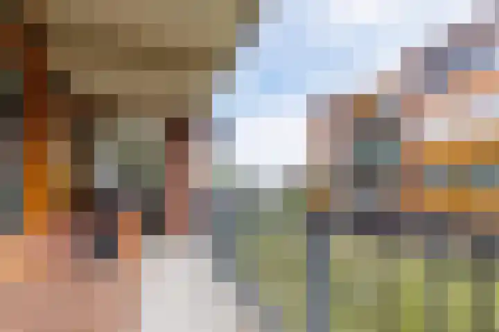Marialaan 372 Nijmegen thumbnail 19