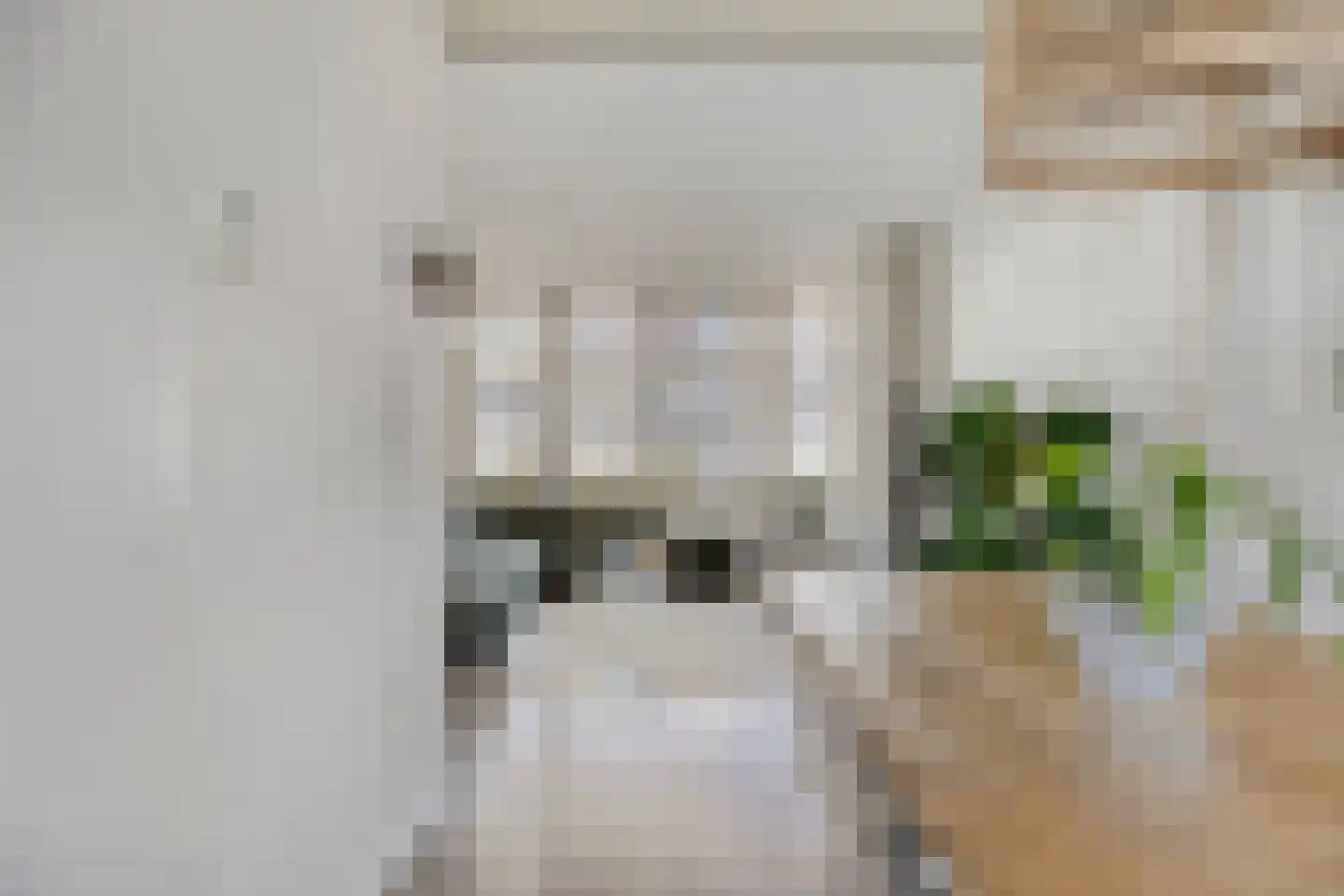 Marialaan 4 Breda thumbnail 10