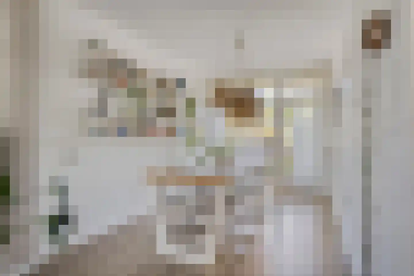 Marialaan 4 Breda thumbnail 11