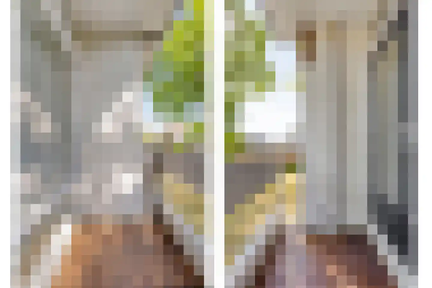 Marialaan 4 Breda thumbnail 18