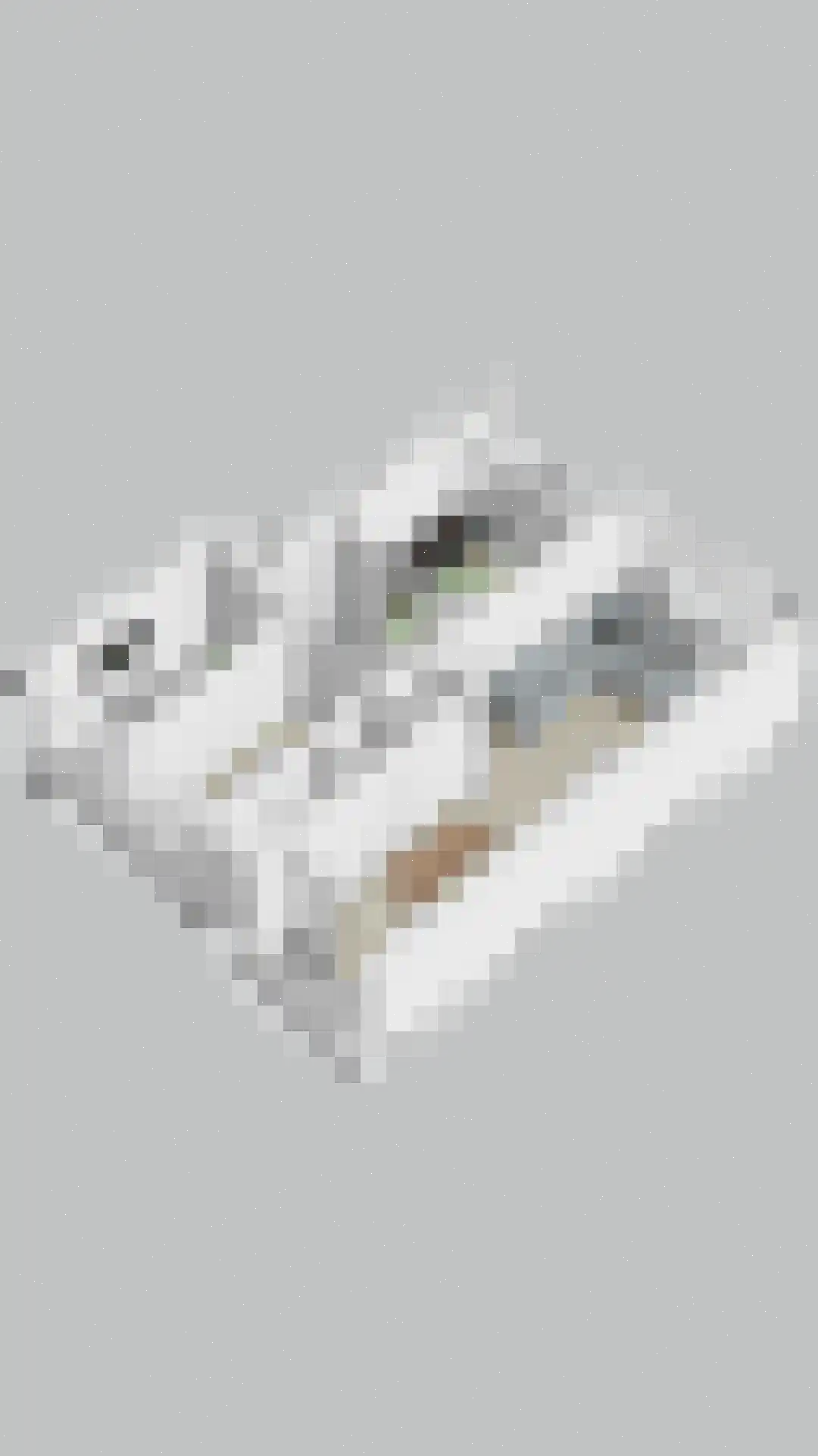 Marialaan 4 Breda thumbnail 29