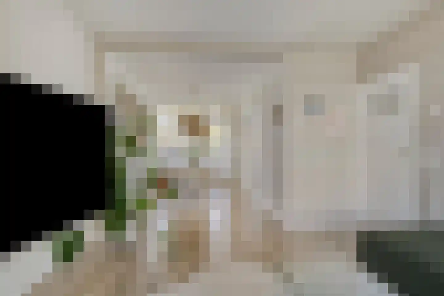 Marialaan 4 Breda thumbnail 9
