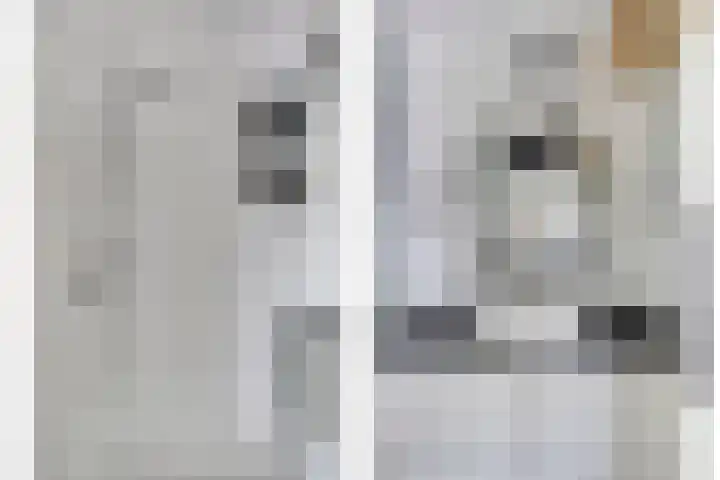Marialaan 4 C Breda thumbnail 10