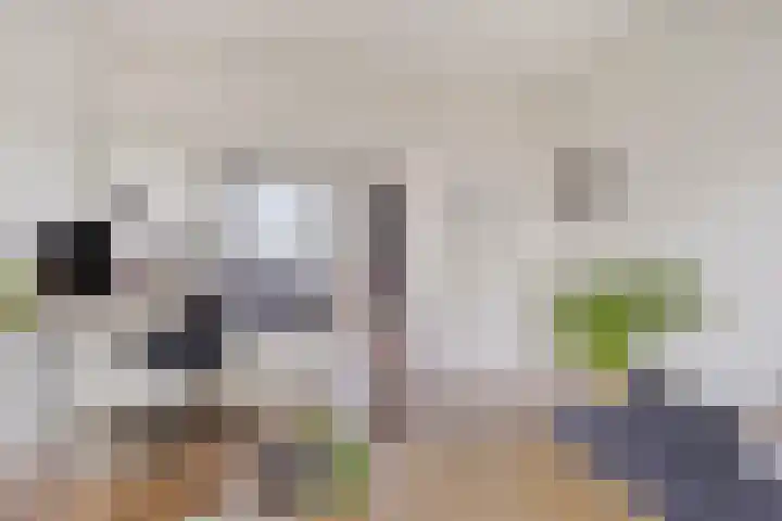 Marialaan 4 C Breda thumbnail 4