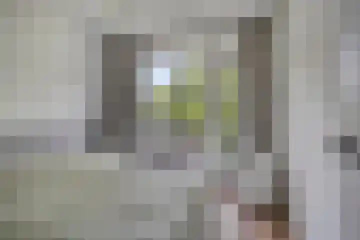 Marialaan 4 C Breda thumbnail 8