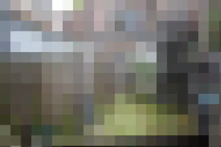 Marialaan 4 Nijmegen thumbnail 10