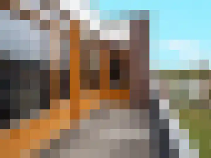 Marialaan 400 Nijmegen thumbnail 17